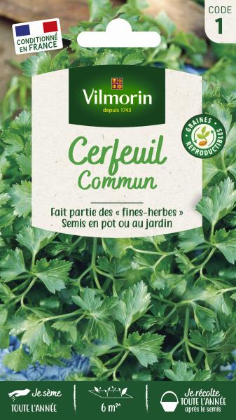 Aromatiques - Cerfeuil Commun - PACKAGING_RECTO